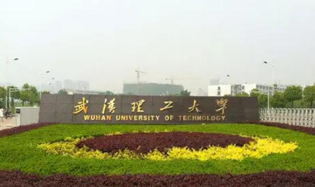 武汉大学最新排名（武汉大学排名表）